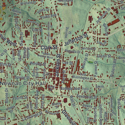 Close-up 1 of the Newnan, Georgia map artwork