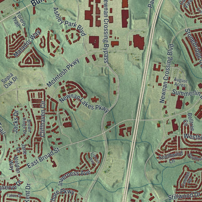 Close-up 2 of the Newnan, Georgia map artwork