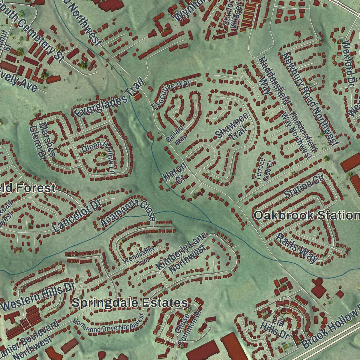 Close-up 1 of the Norcross, Georgia map artwork