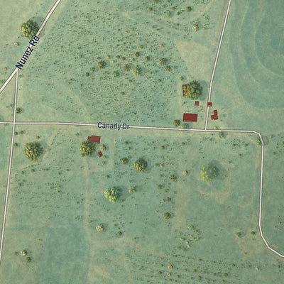 Close-up 1 of the Nunez, Georgia map artwork