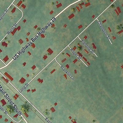 Close-up 2 of the Ochlocknee, Georgia map artwork