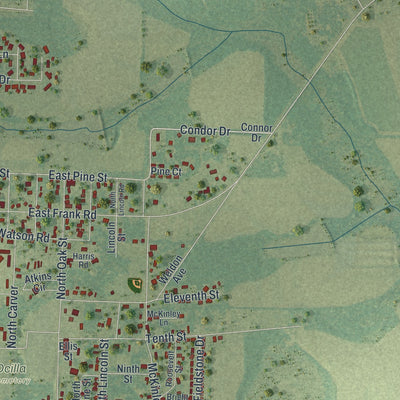 Close-up 2 of the Ocilla, Georgia map artwork