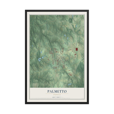 Palmetto, Georgia map print, 12" x 18" W/ Black Ayous Wood Frame mockup