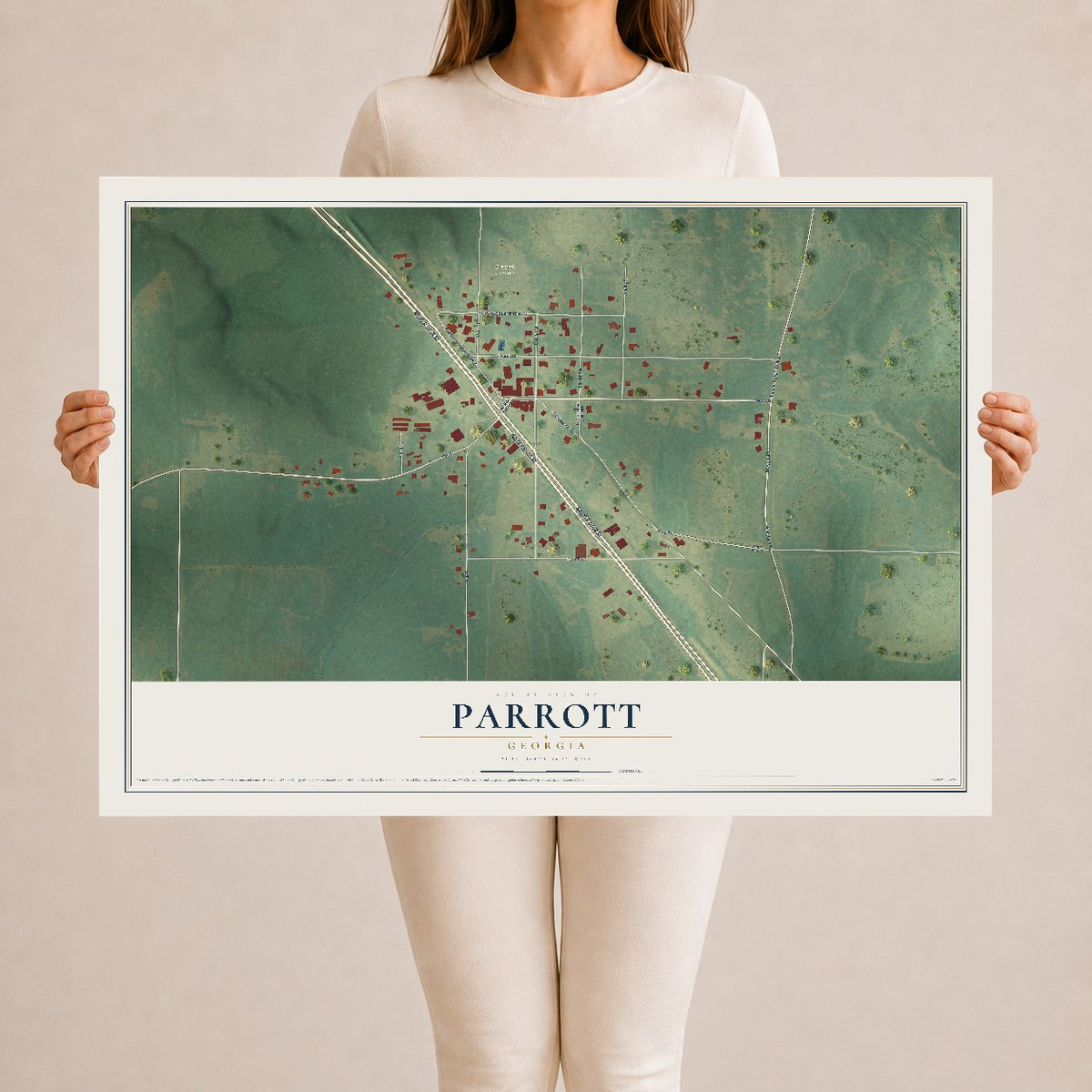 Parrott, Georgia map print, 24" x 36" Archival Matte Print mockup