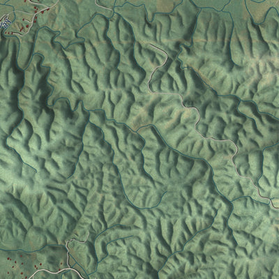 Close-up of the map of Pine Log, Georgia print showing street and building detail