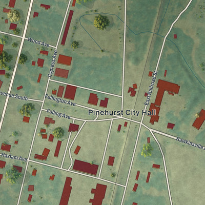 Close-up 1 of the Pinehurst, Georgia map artwork