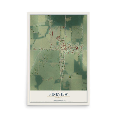 Pineview, Georgia map print, 12" x 18" Archival Matte Print mockup