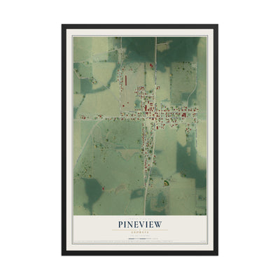 Pineview, Georgia map print, 12" x 18" W/ Black Ayous Wood Frame mockup