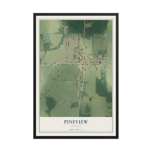 Map of Pineview, Georgia, 12 x 18 inch print in a black wood frame