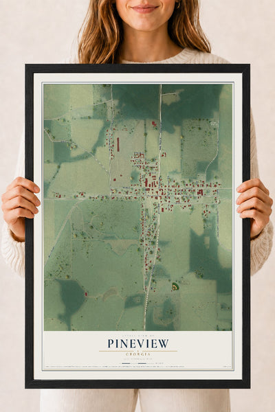 Pineview, Georgia map print, 18" x 24" W/ Black Ayous Wood Frame mockup
