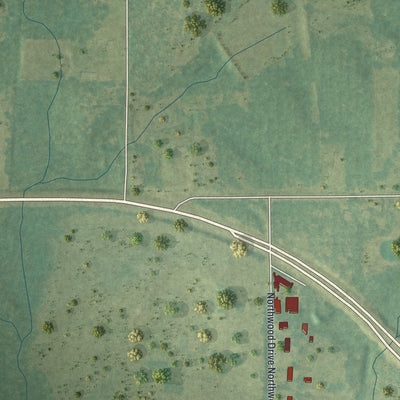 Close-up 2 of the Poulan, Georgia map artwork