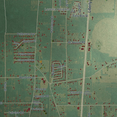 Close-up of the map of Putney, Georgia print showing street and building detail