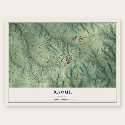 Raoul, Georgia map print, the full design