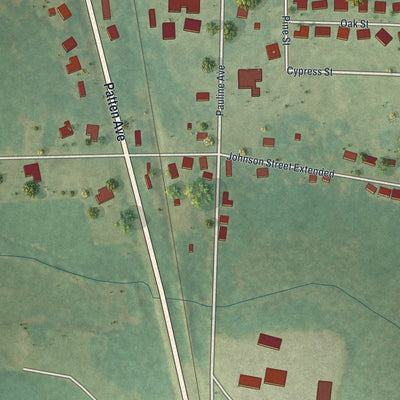 Close-up 2 of the Ray City, Georgia map artwork