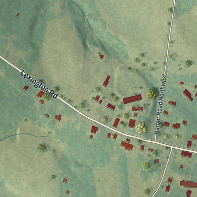 Close-up 1 of the Rayle, Georgia map artwork