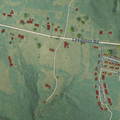 Close-up 2 of the Rayle, Georgia map artwork