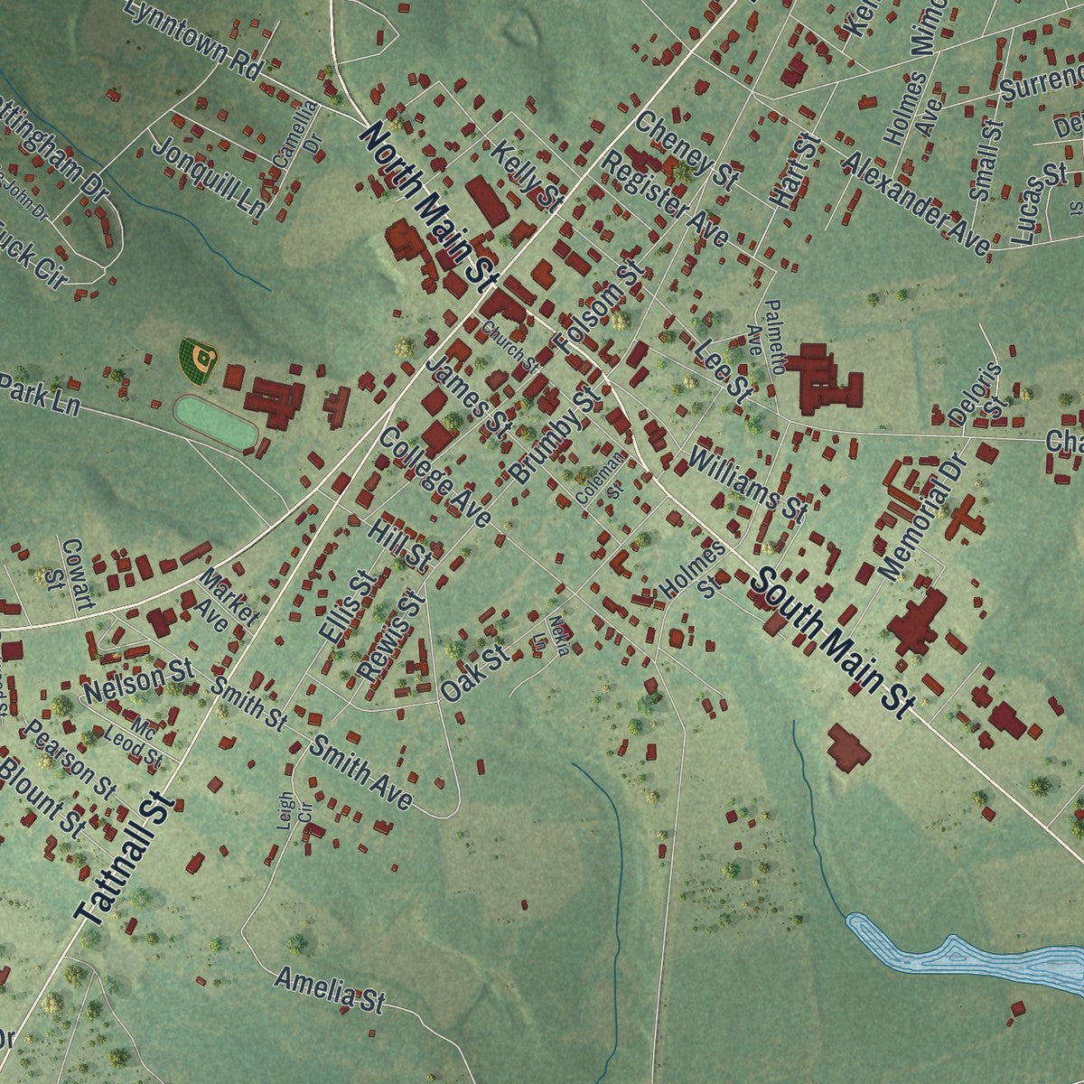 Close-up 1 of the Reidsville, Georgia map artwork