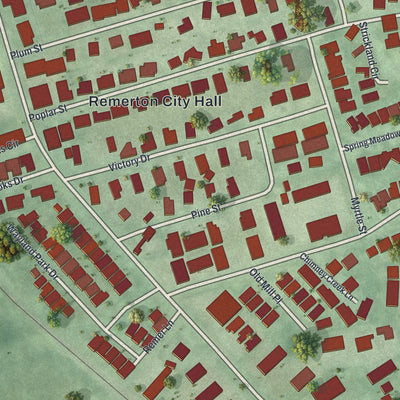 Close-up 1 of the Remerton, Georgia map artwork