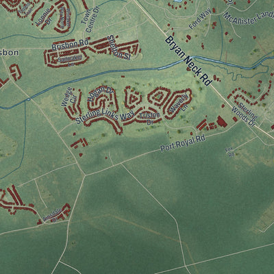 Close-up 2 of the Richmond Hill, Georgia map artwork