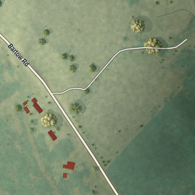 Close-up 2 of the Riddleville, Georgia map artwork
