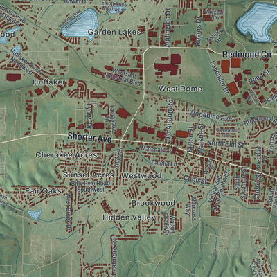 Close-up 1 of the Rome, Georgia map artwork