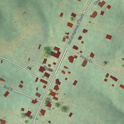 Close-up 1 of the Roopville, Georgia map artwork