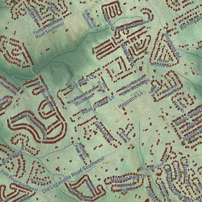 Close-up of the map of Rosebud, Georgia print showing street and building detail