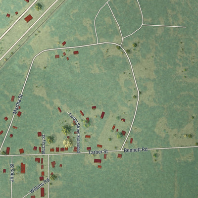 Close-up 2 of the Screven, Georgia map artwork