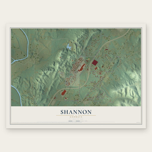 Shannon, Georgia map print, the full design
