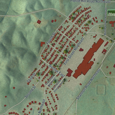 Close-up of the map of Shannon, Georgia print showing street and building detail