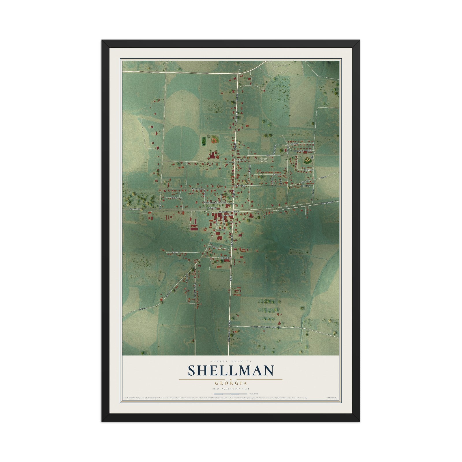 Shellman, Georgia map print, 12" x 18" W/ Black Ayous Wood Frame mockup
