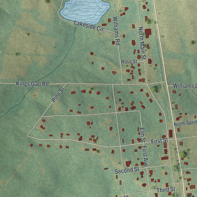 Close-up 1 of the Shiloh, Georgia map artwork