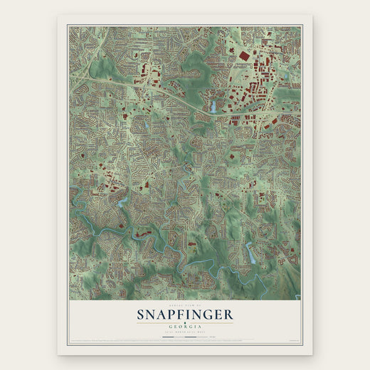 Snapfinger, Georgia map print, the full design