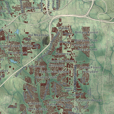 Close-up 1 of the South Fulton, Georgia map artwork