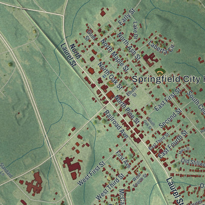 Close-up 1 of the Springfield, Georgia map artwork