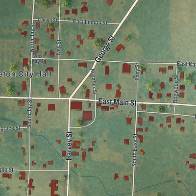 Close-up 1 of the Stapleton, Georgia map artwork