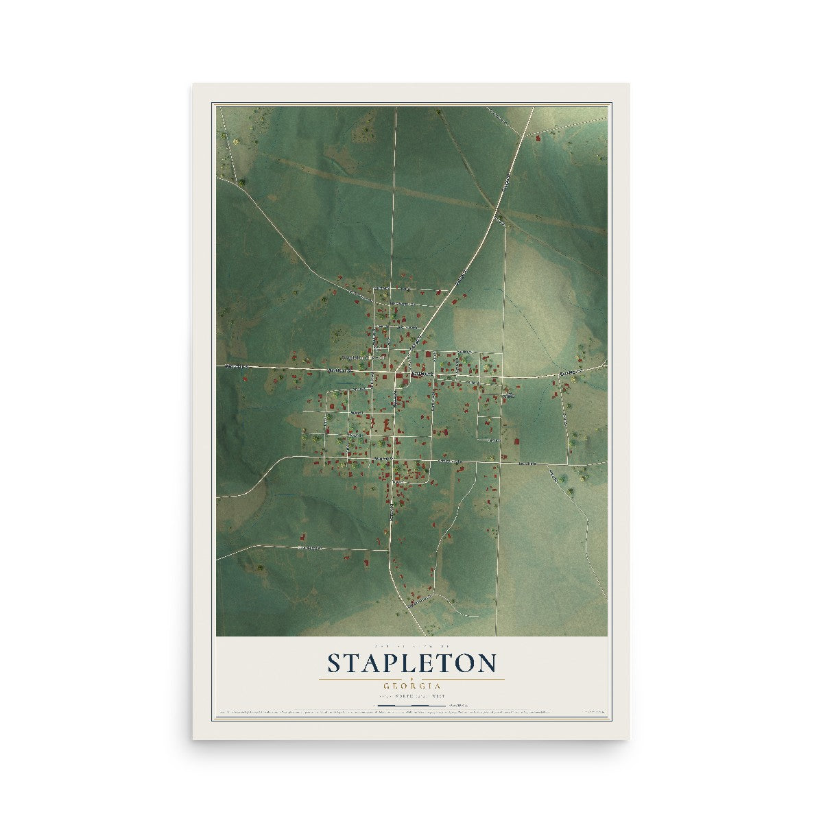 Stapleton, Georgia map print, 12" x 18" Archival Matte Print mockup