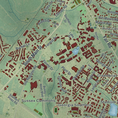 Close-up 2 of the Statesboro, Georgia map artwork