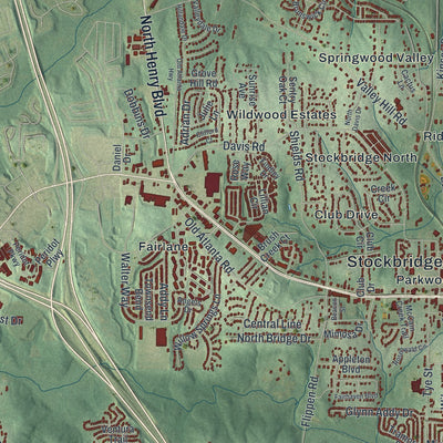 Close-up 1 of the Stockbridge, Georgia map artwork