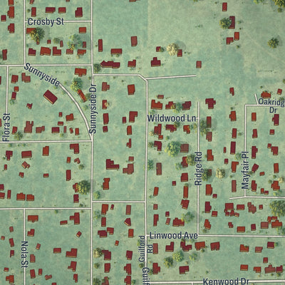 Close-up of the map of Sunnyside, Georgia print showing street and building detail