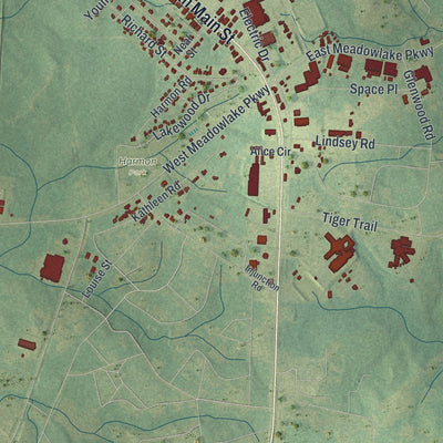 Close-up 2 of the Swainsboro, Georgia map artwork