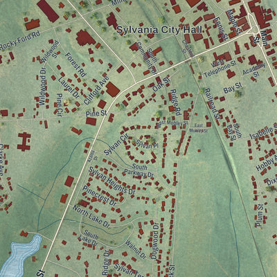 Close-up 1 of the Sylvania, Georgia map artwork