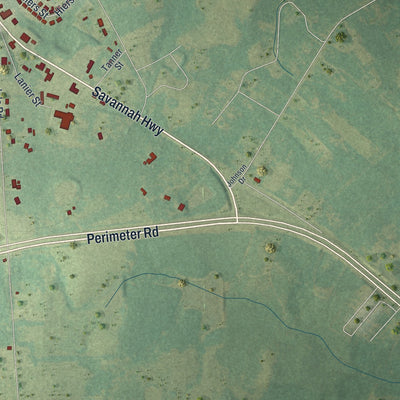 Close-up 2 of the Sylvania, Georgia map artwork
