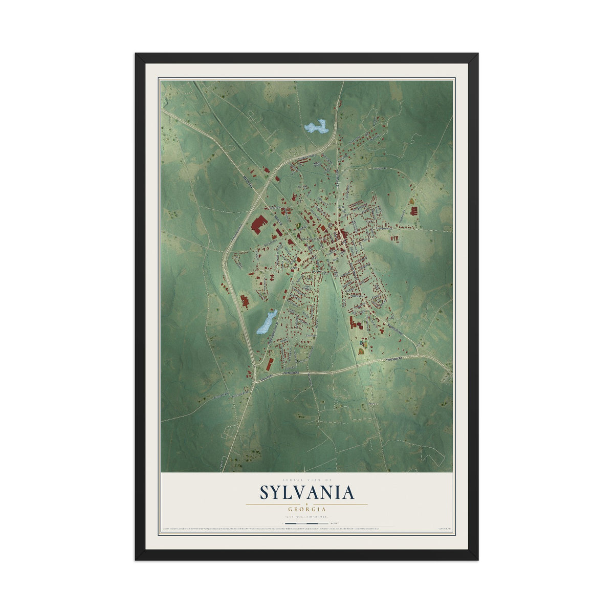 Sylvania, Georgia map print, 12" x 18" W/ Black Ayous Wood Frame mockup
