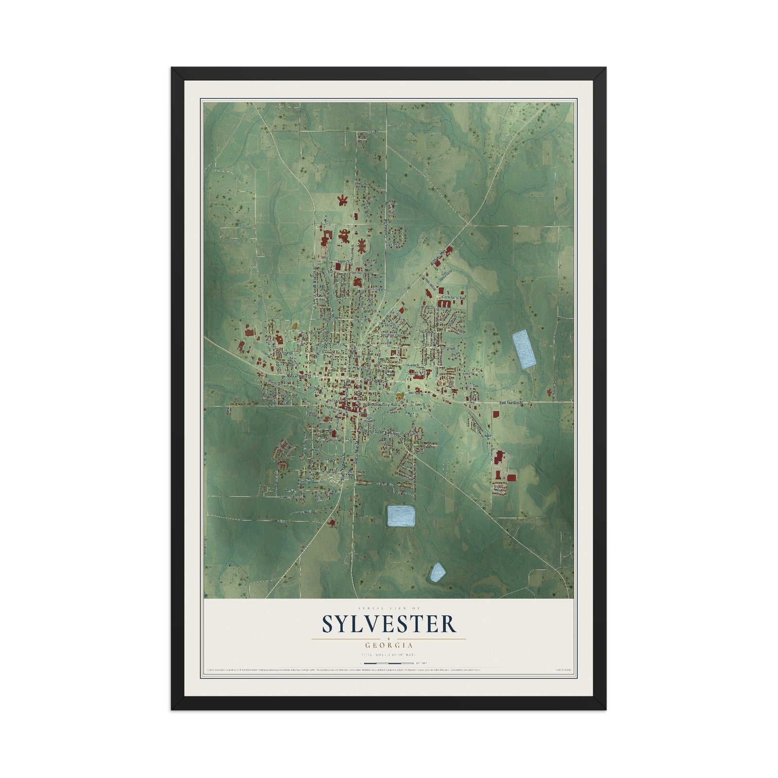 Sylvester, Georgia map print, 12" x 18" W/ Black Ayous Wood Frame mockup