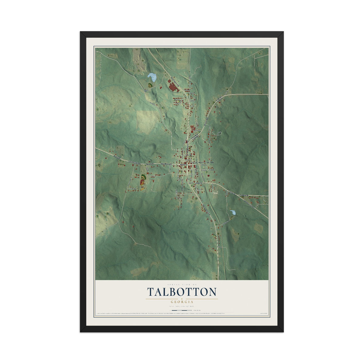 Talbotton, Georgia map print, 12" x 18" W/ Black Ayous Wood Frame mockup