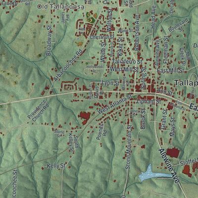 Close-up 1 of the Tallapoosa, Georgia map artwork