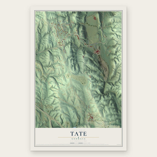 Tate, Georgia map print, the full design