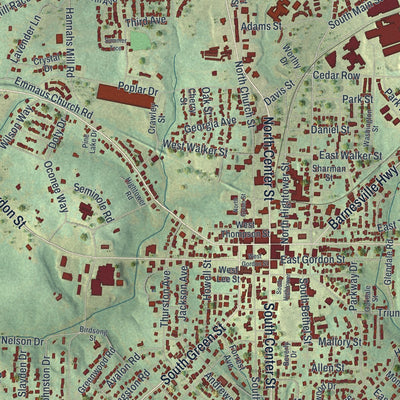 Close-up 1 of the Thomaston, Georgia map artwork