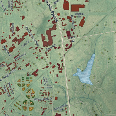 Close-up 2 of the Thomasville, Georgia map artwork